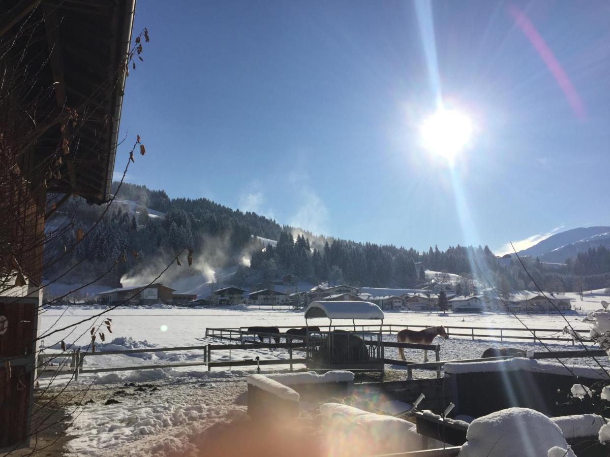 Pension Klausnerhof เวสเทนดอร์ฟ ภายนอก รูปภาพ